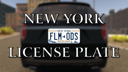 More information about "New York License Plate"